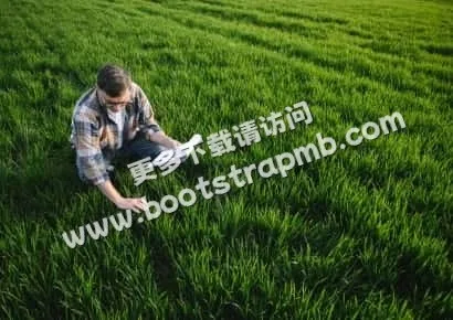 探索体育的魅力 - 宝威体育