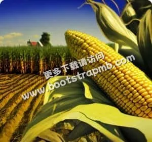 安全可靠，官方APP下载 - 宝威体育