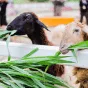探索体育的魅力 - 宝威体育